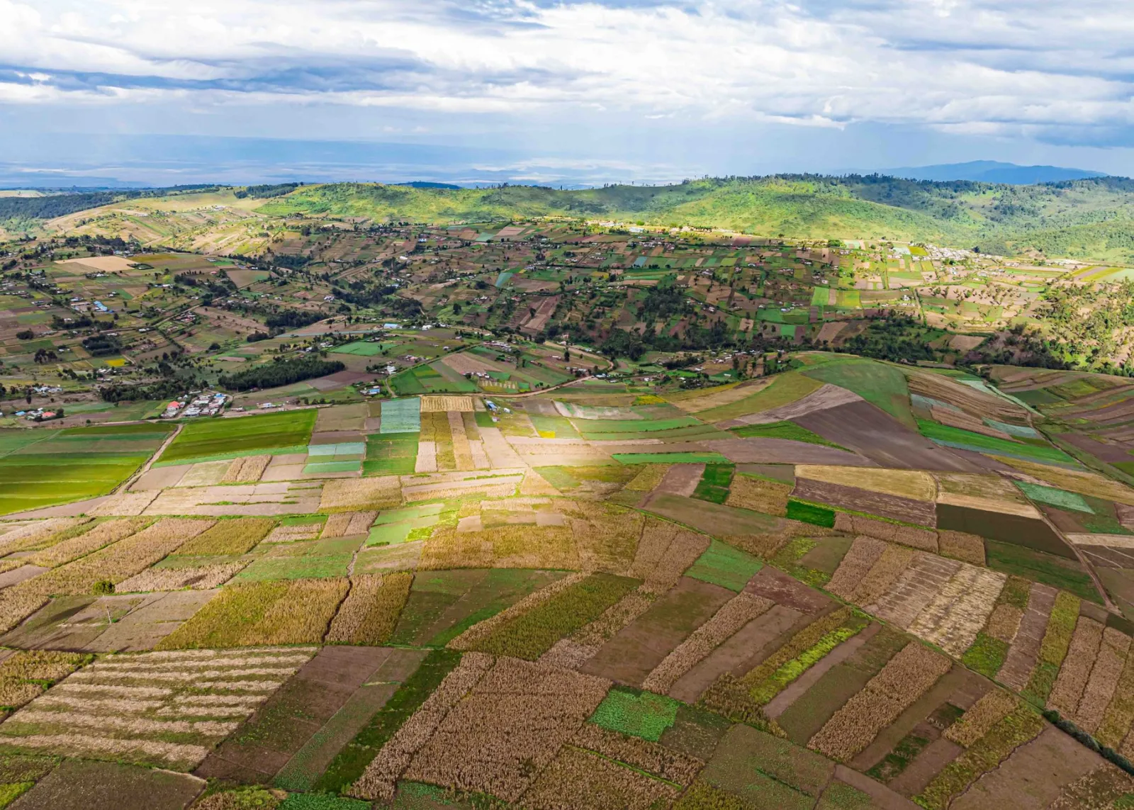 Smallholder farming